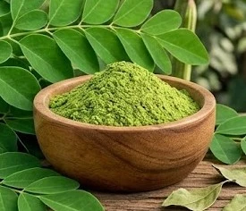 Moringa Oleifera